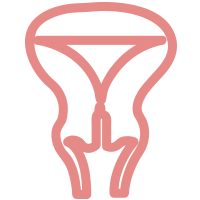 <b>宫颈性不孕检查项目有哪些？</b>