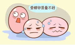 <b>卵泡发育不好怎么办？如何去调理？</b>