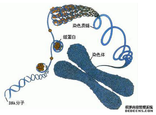 染色体异常还能要孩子吗？看完这篇不再迷茫 