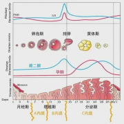 <b>移植前的这些条件，你达到了吗？</b>