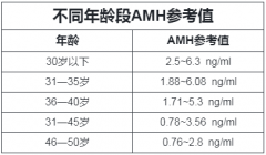 <b>AMH数值低=生育力差？</b>