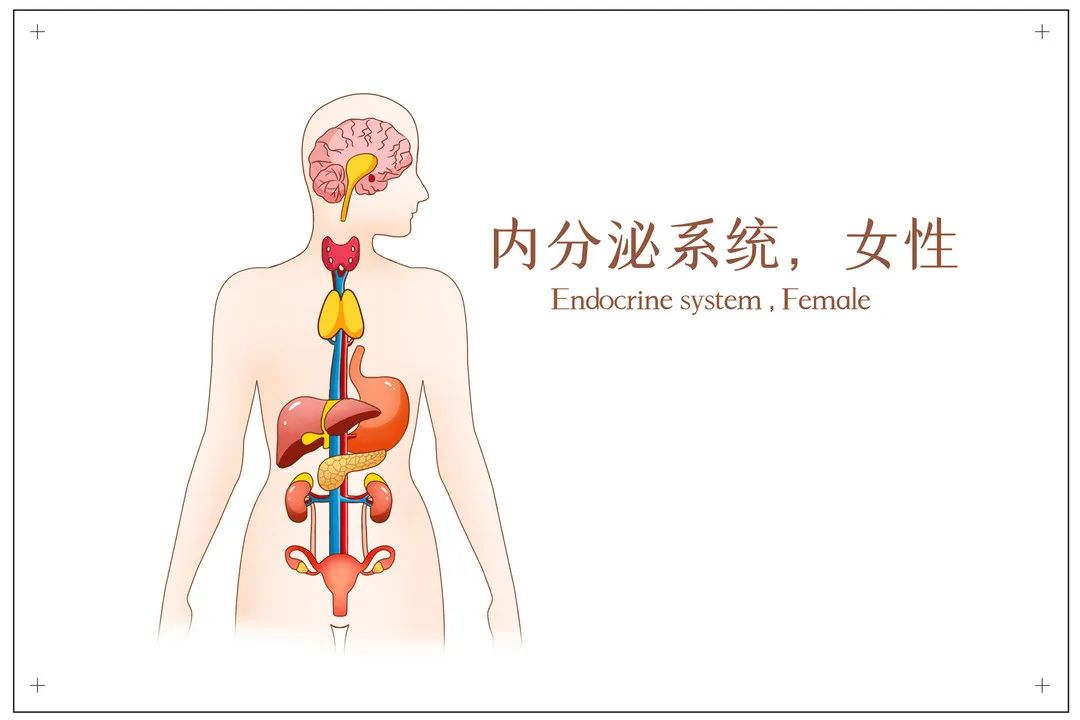 卵泡长不大可以做第三代试管婴儿吗？